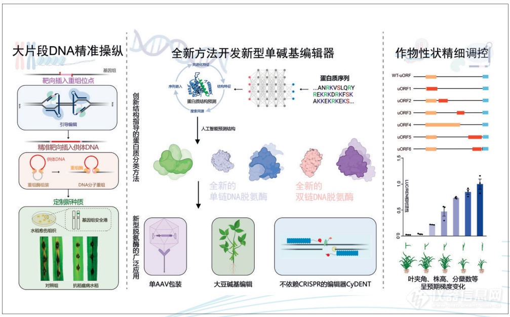 2023年度中国科学十大进展发布