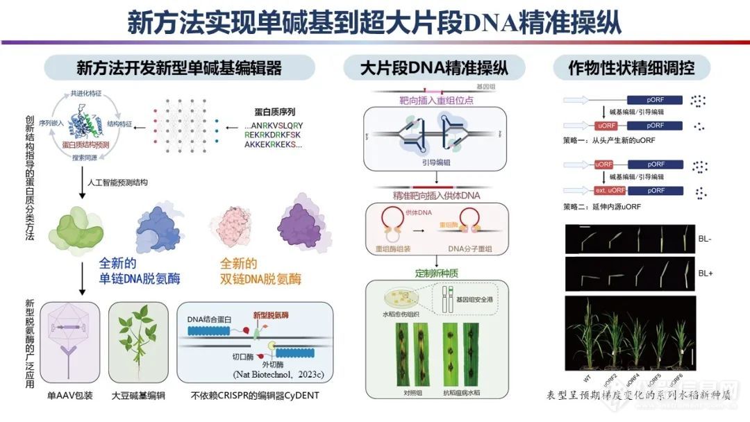 最新！2023年度“中国科学十大进展”发布