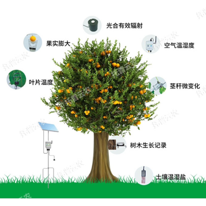 植物生理生态监测系统TP-ZWSL 托普云农