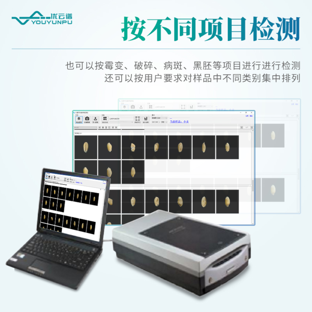 优云谱小麦不完善率测定仪YP-XML