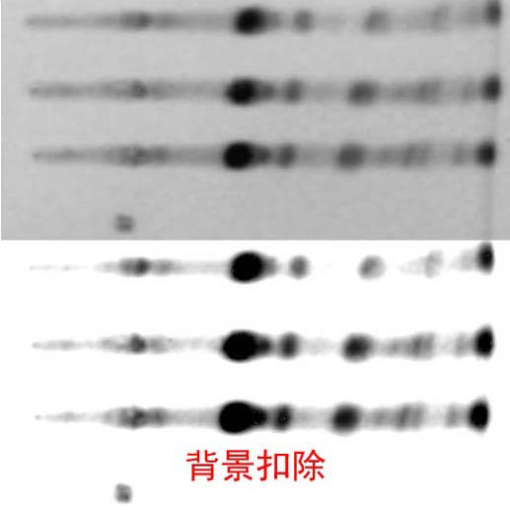 海泰天恒HTTLC-500 薄层色谱自动成像分析系统