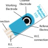 西班牙DropSens 丝网印刷电极 修饰丝网印刷电极阵列离子检测电极