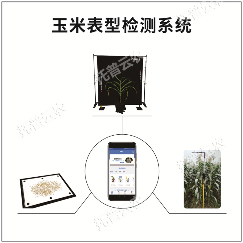 玉米表型检测系统TPY-BX-1 托普云农