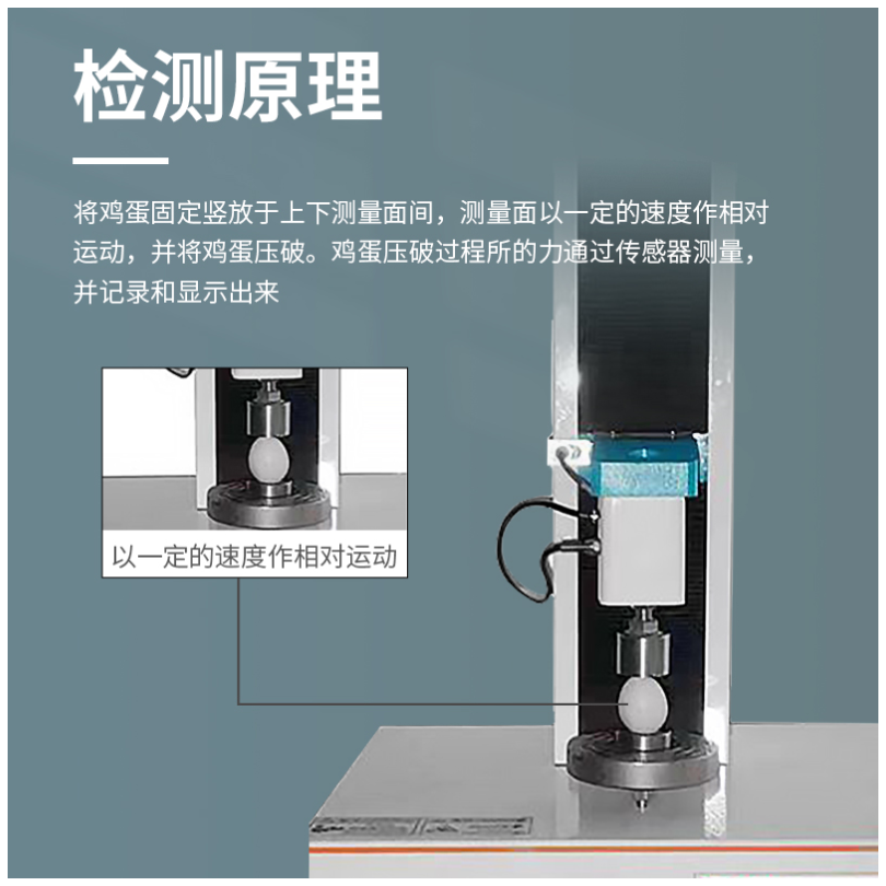 鸡蛋强度检测仪