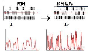 预处理.jpg