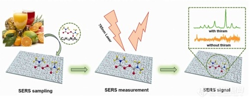 山东大学韩琳教授团队在高性能SERS传感及应用研究方面取得最新进展