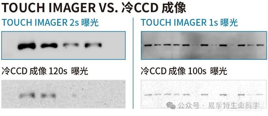 易孛特邀您参展 | 3月14-16日相聚苏州，共赴BIOCHINA2024(EBC)第九届易贸生物产