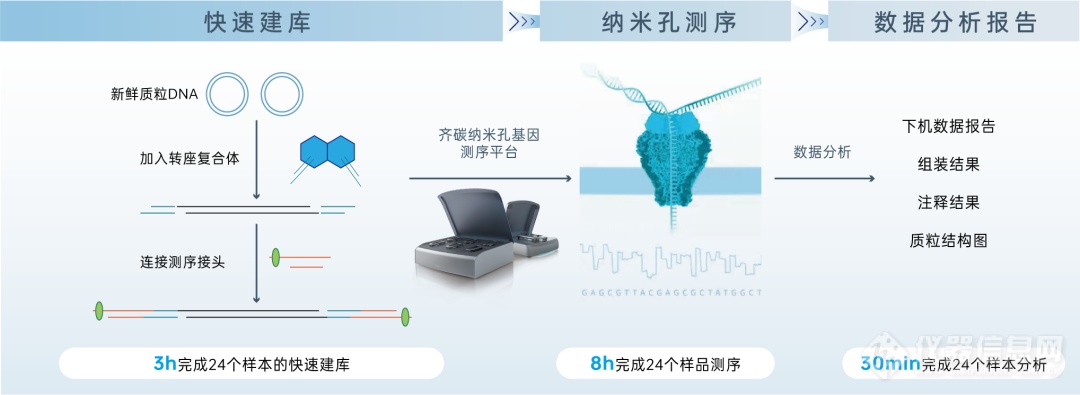 试用征集令｜30个免费名额！轻松实现纳米孔全质粒测序本地化～