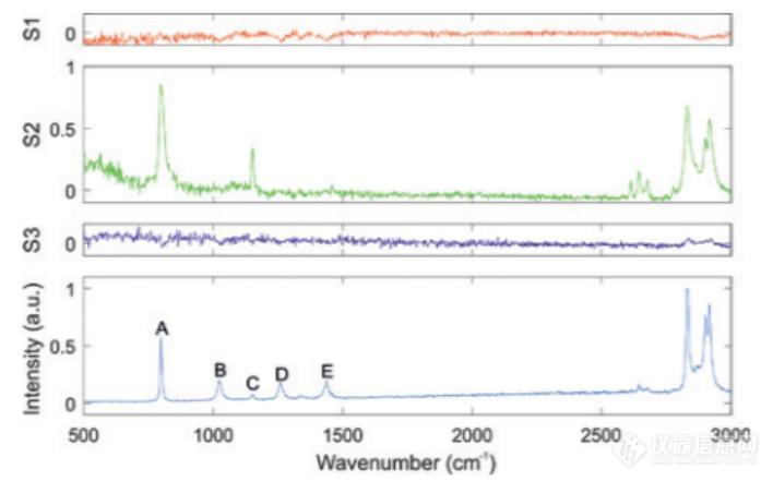 偏振拉曼系统的应用介绍