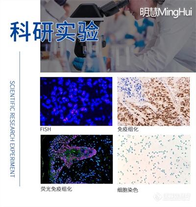 生物显微镜NE700 科研实验应用