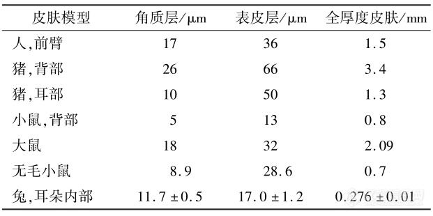 表４ IVPT常用动物模型相对于人的皮肤层厚度