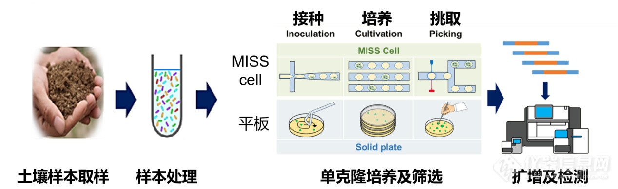 天木生物MISS cell在土壤微生物分离中的应用