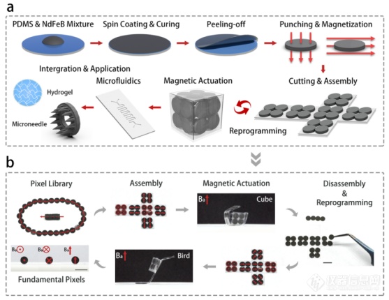 清华大学深圳国际研究生院弥胜利团队：基于像素化组装的可重编程可集成微流控功能模块的磁控柔性驱动器