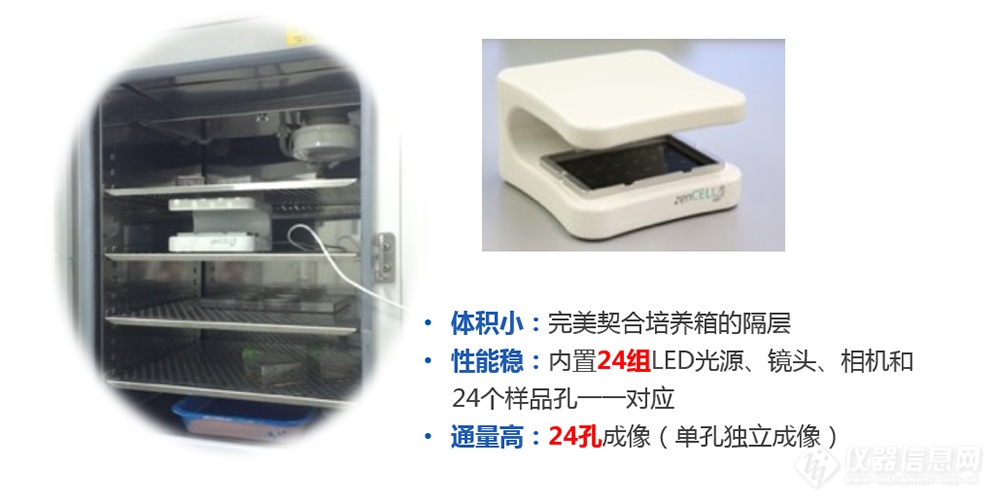 推动大规模设备更新和消费品以旧换新行动方案，Action！