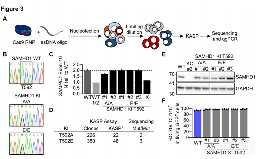 单细胞柔性分选结合CRISPR Cas9技术新应用