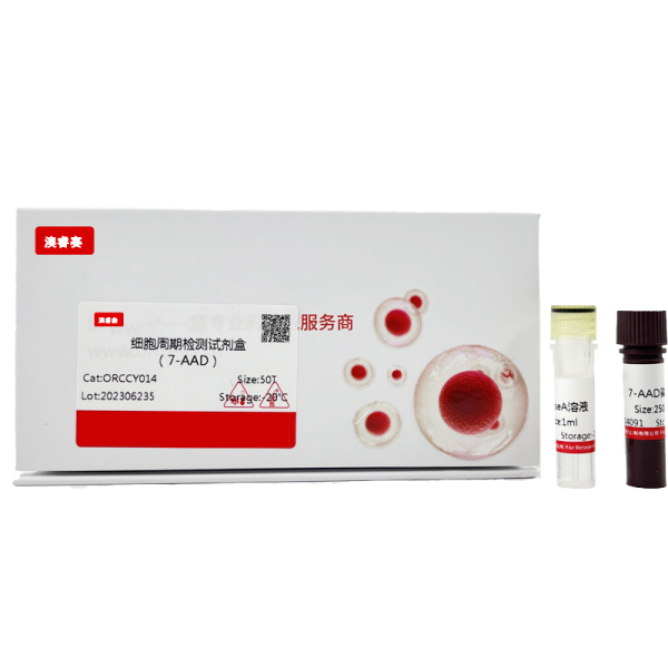 细胞周期检测试剂盒（7-AAD）