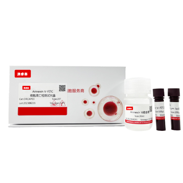 Annexin V- Alexa Fluor 488/PI双染细胞凋亡检测试剂盒
