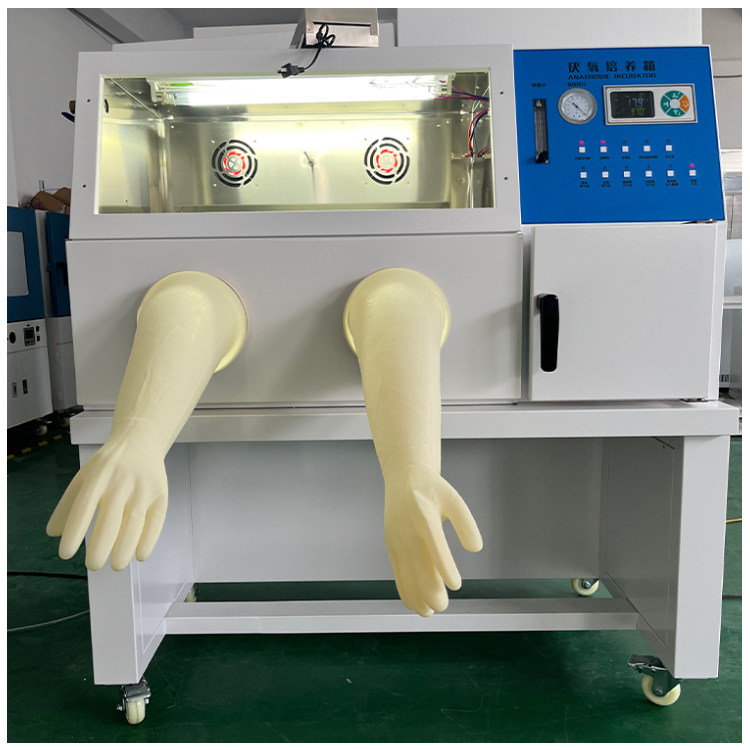 实验室微需氧菌培养箱YQX-II 厌氧手套箱