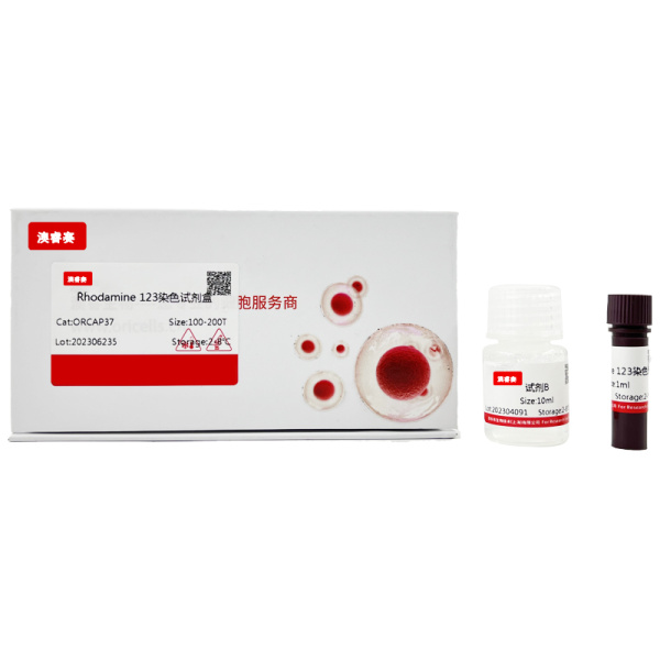 Rhodamine 123染色试剂盒