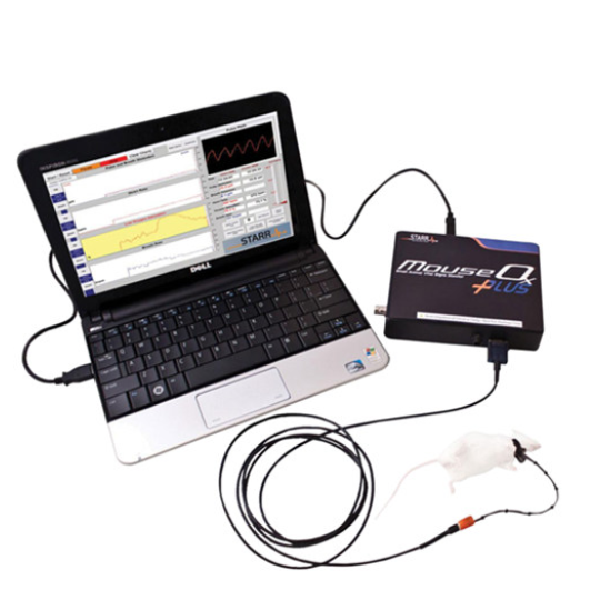 小鼠脉氧仪，小鼠血氧测量仪，小动物血氧测量仪
