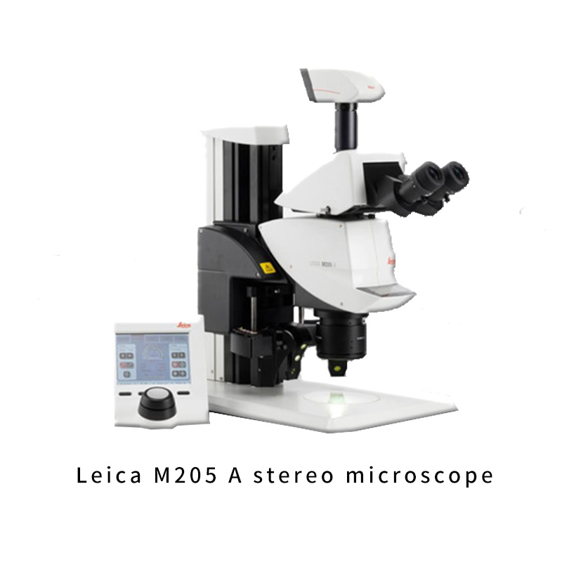 徕卡Leica立体显微镜、体视显微镜M系列