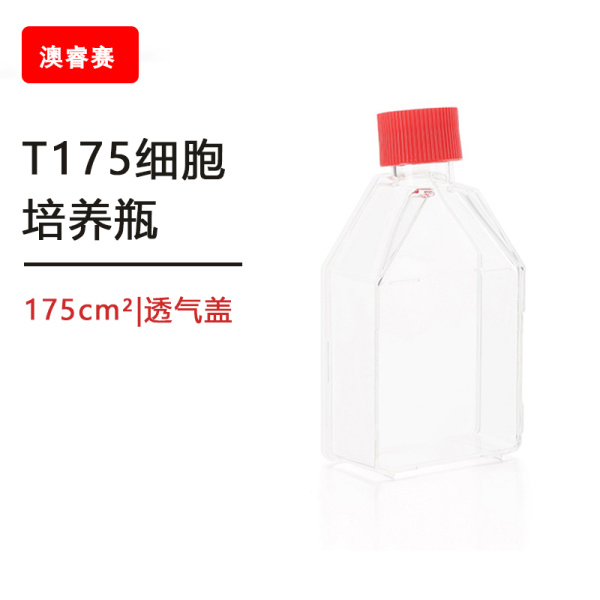 等离子处理T175细胞培养瓶, 175cm²,透气盖