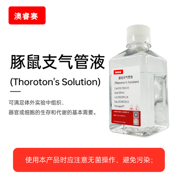 豚鼠支气管液（Thoroton's Solution）