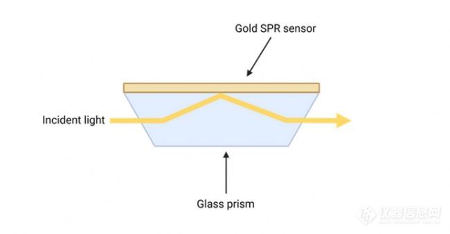 Affinité 传感器创新，简化SPR实验设置