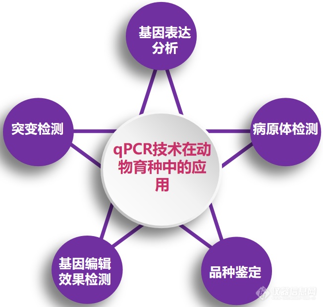 一文get qPCR技术在动物育种中的应用