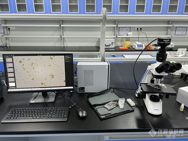 生物显微镜ML31助力酵母菌观察