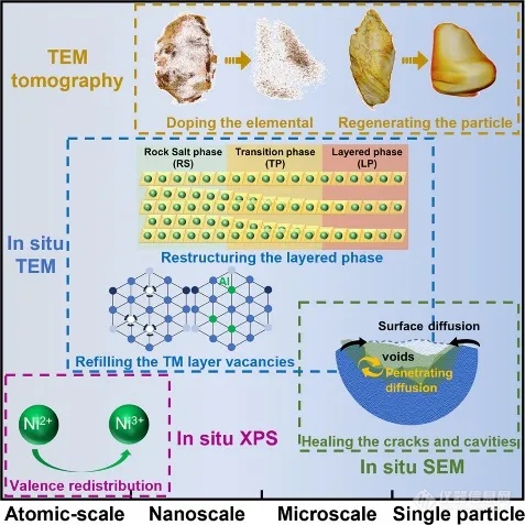 TEM原位样品杆优秀论文赏析-《Energy Storage Materials》