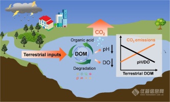 陆地DOM的输入伴随着DO和pH值的下降并加剧了千岛湖的CO2排放