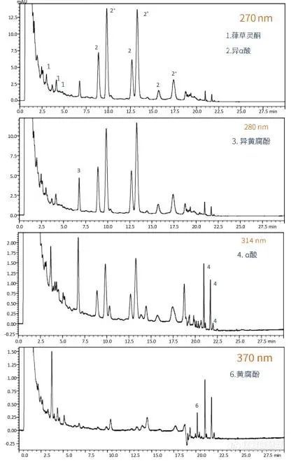 基于HPLC同时检测啤酒中的6种风味成分的方法