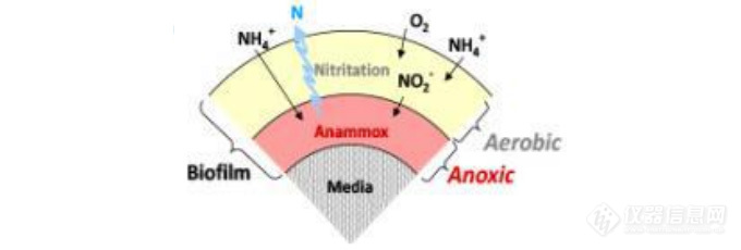 EZ1301 硝氮和亚硝氮分析仪在厌氧氨氧化工艺中的应用