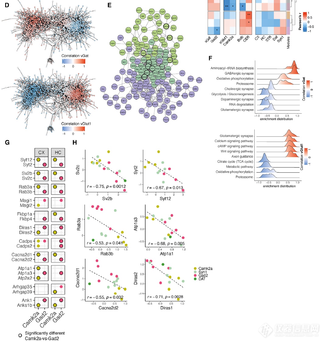 Cell重磅| Azure Sapphire助力揭示突触多样性的蛋白图谱