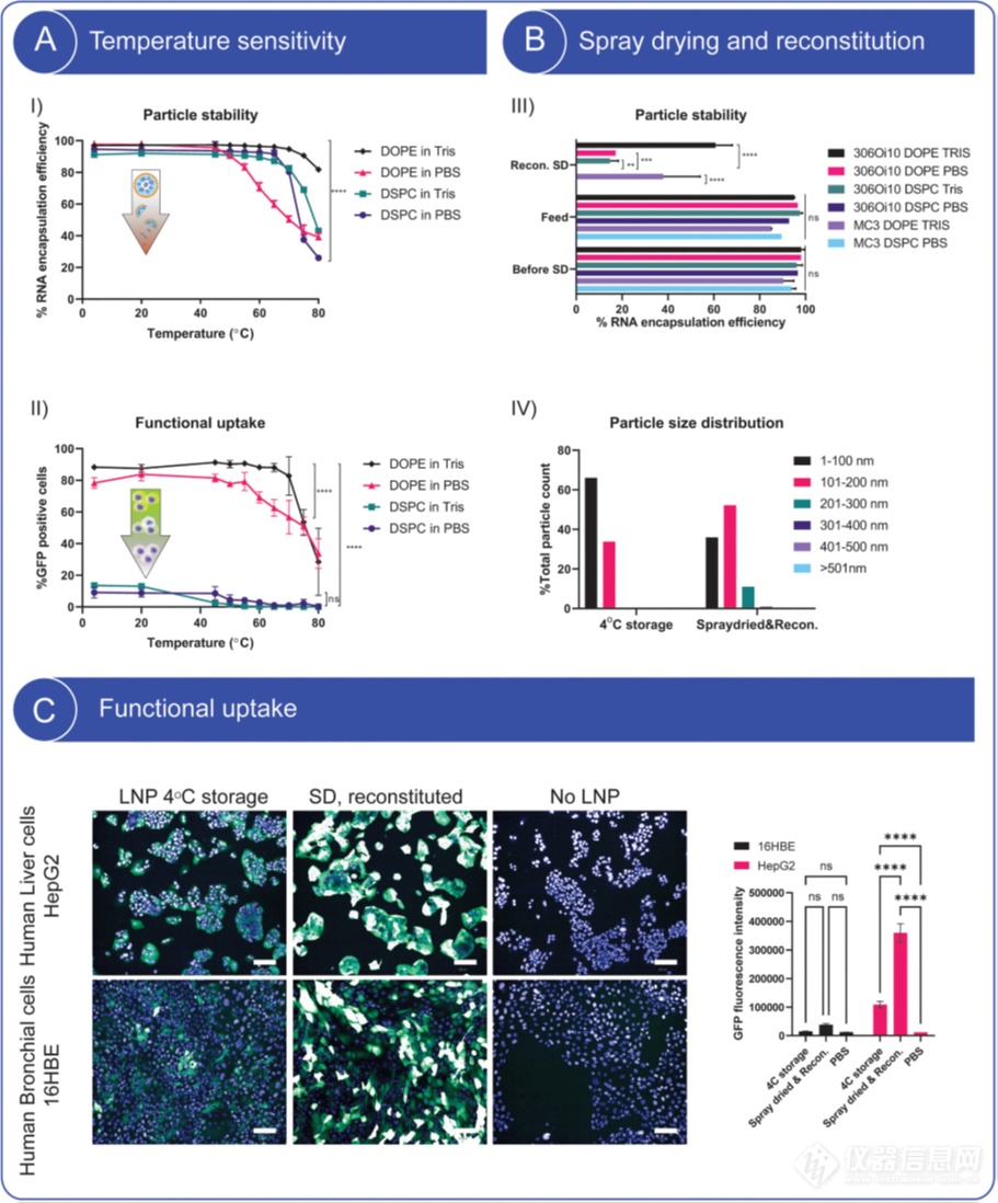 【瑞士步琦】利用喷雾干燥实现mRNA-LNP的气管内递送