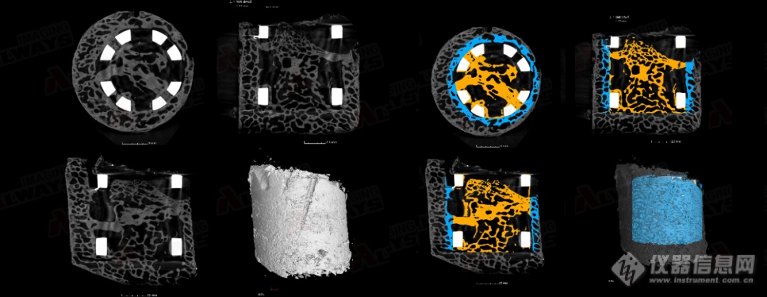 奥影案例|工业CT扫万物：透视生命微观