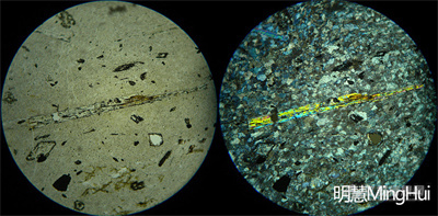 单偏光镜下观察，左侧是没加偏光，右侧是加偏光的-明慧公司