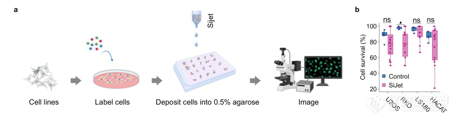 Bio240426-2.png