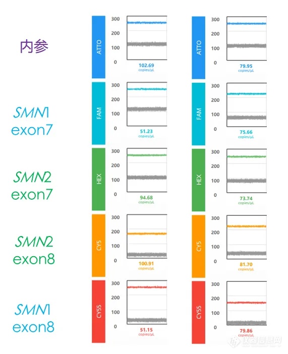 国际罕见病日 | 数字PCR助力SMA检测！