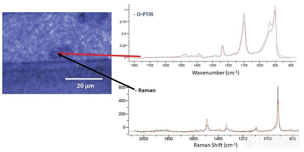 应用讲座丨清华大学分析中心亚微米分辨红外-拉曼-荧光联用系统在众多领域的应用及操作培训