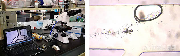 微流控技术中的显微成像和高速相机