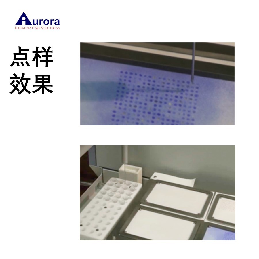 多肽芯片点样仪 欧罗拉微阵列喷印移液工作站 