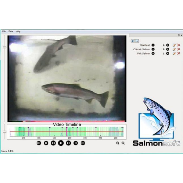 鱼道过鱼摄像计数系统