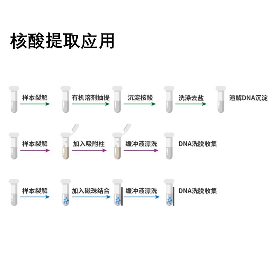 高通量核酸纯化系统工作站 欧罗拉VERSA1100