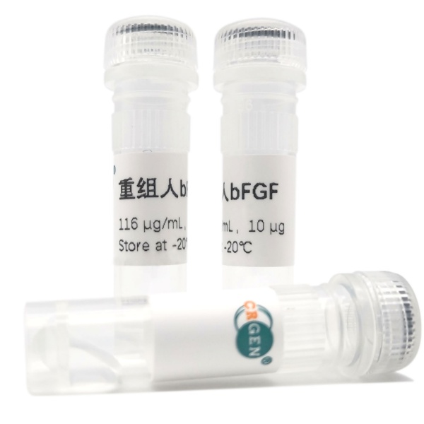 重组人bFGF -碱性成纤维细胞生长因子-FGF2-赛尔瑞成