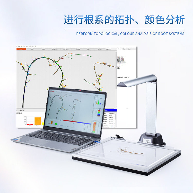 拍照式根系分析仪