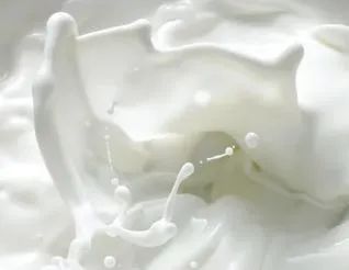 福斯全球 | 欧洲最大乳品厂采购ProcesScan液奶在线分析方案！