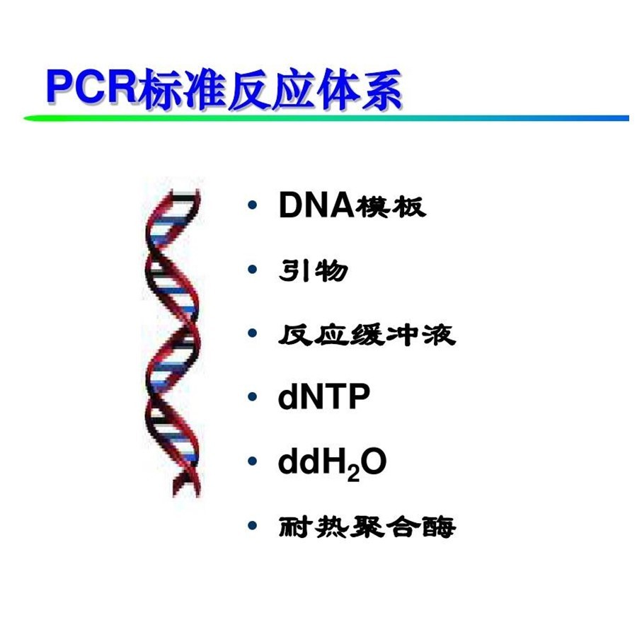 PCR体系构建工作站 欧罗拉PCR workstation