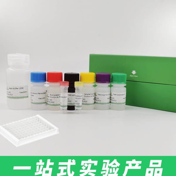 Super ECL Plus（超敏化学发光检测试剂盒） 